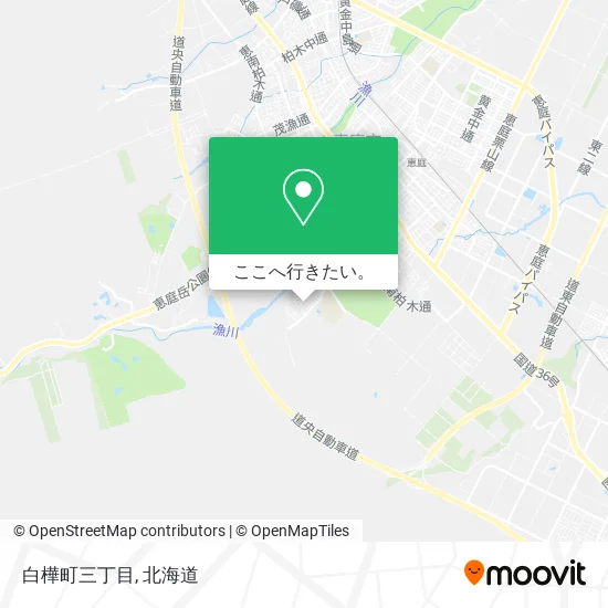 白樺町三丁目地図