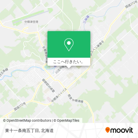 東十一条南五丁目地図