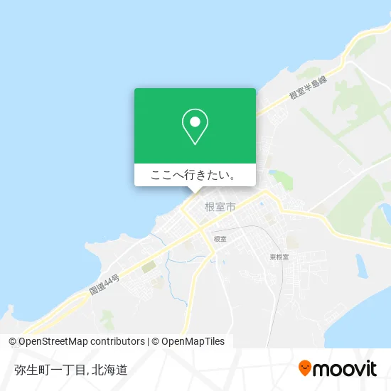 弥生町一丁目地図