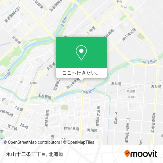 永山十二条三丁目地図