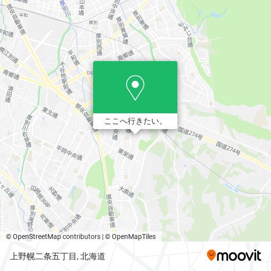 上野幌二条五丁目地図