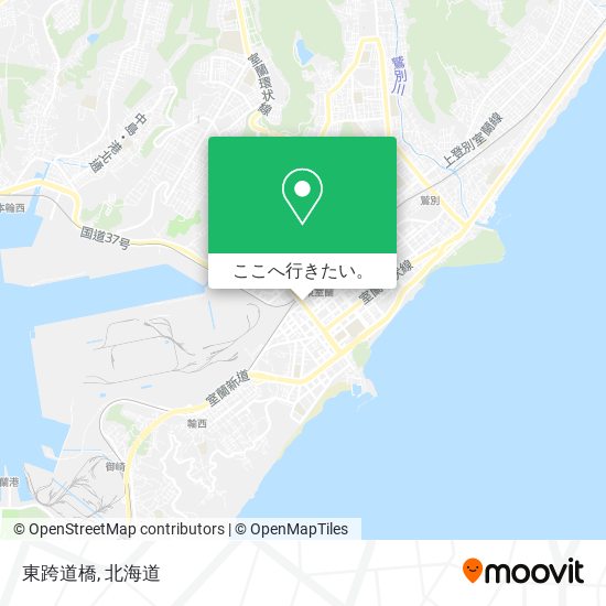 東跨道橋地図