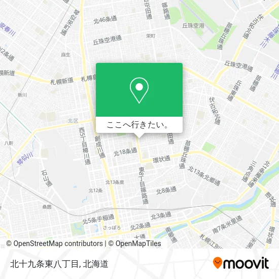 北十九条東八丁目地図