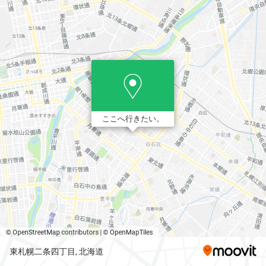 東札幌二条四丁目地図
