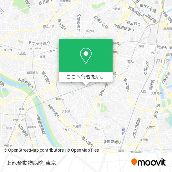上池台動物病院地図