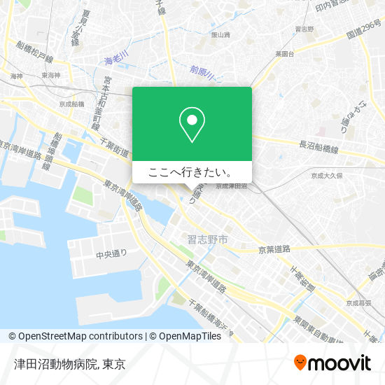 津田沼動物病院地図