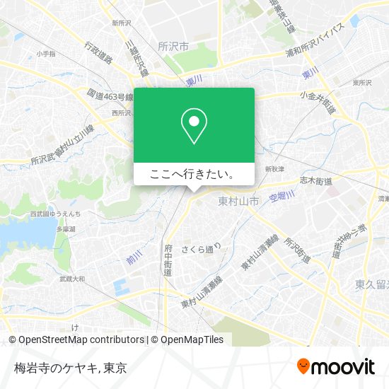 梅岩寺のケヤキ地図