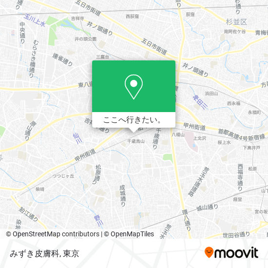 みずき皮膚科地図