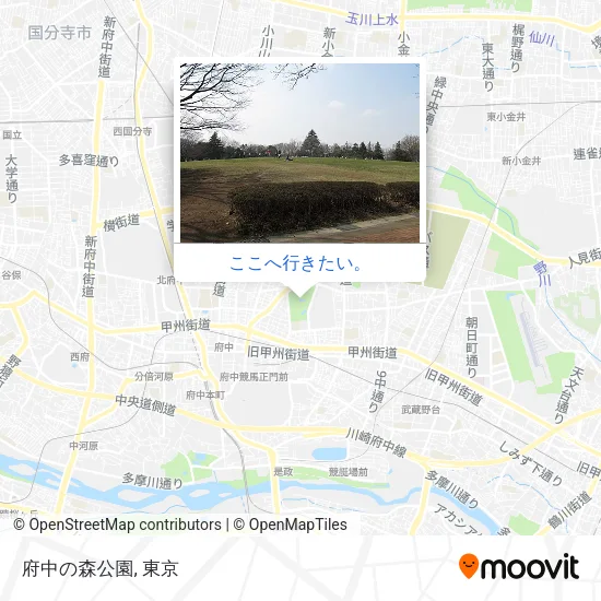 府中の森公園地図