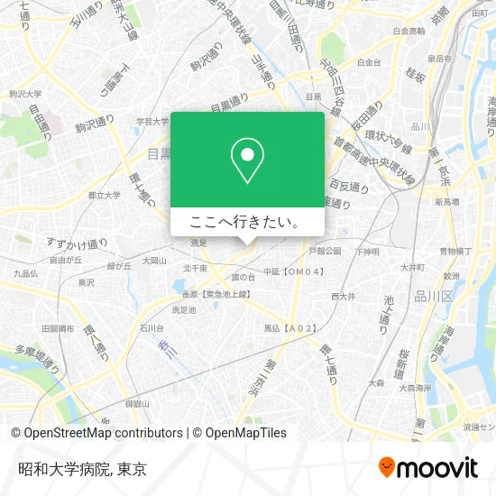 昭和大学病院地図