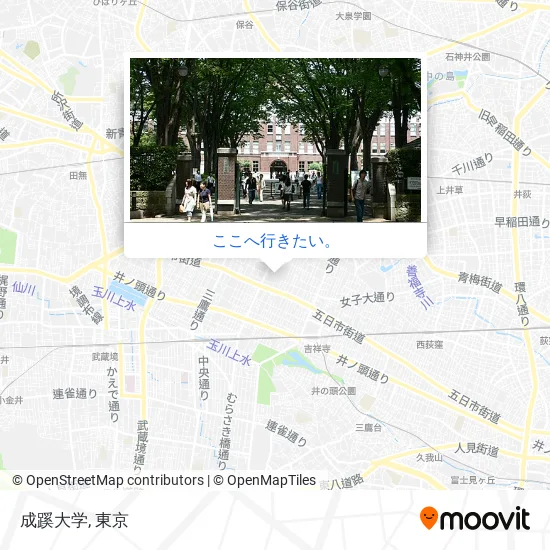 成蹊大学地図