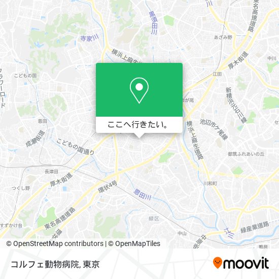 コルフェ動物病院地図