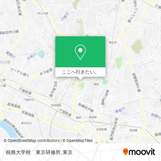 税務大学校　東京研修所地図