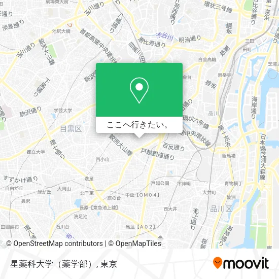 星薬科大学（薬学部）地図