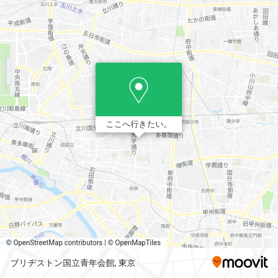 ブリヂストン国立青年会館地図