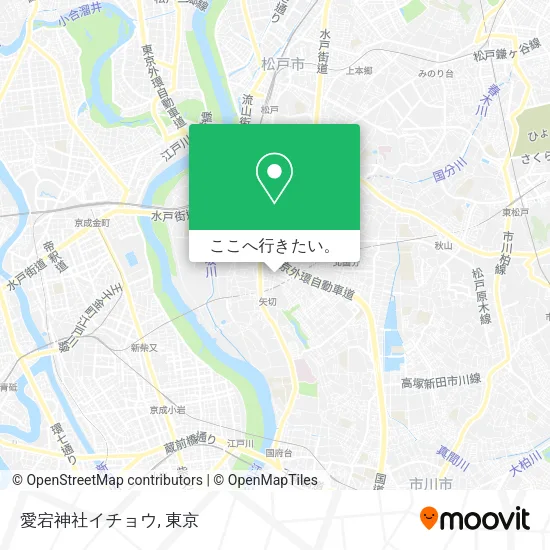 愛宕神社イチョウ地図