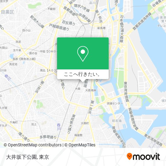 大井坂下公園地図