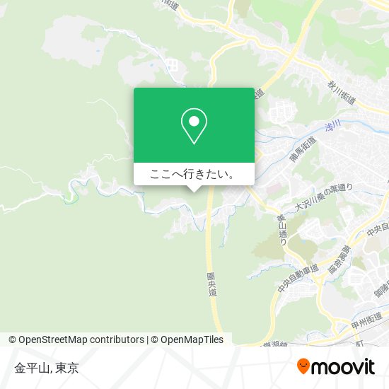 金平山地図