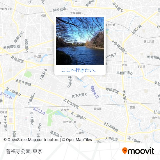 善福寺公園地図