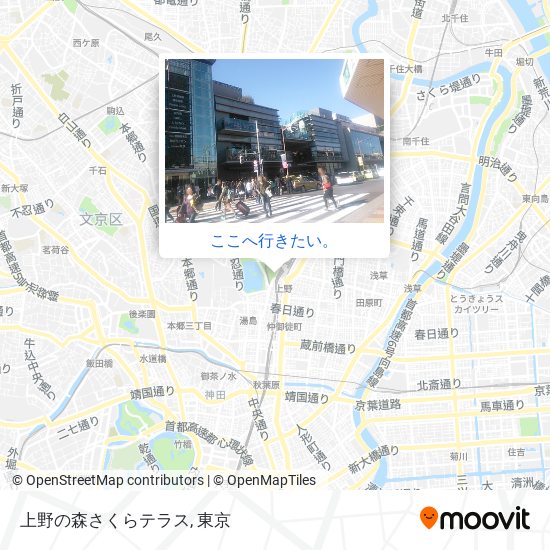 上野の森さくらテラス地図