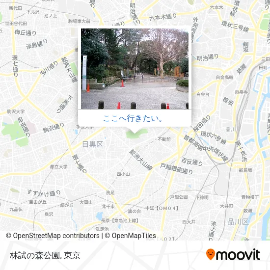 林試の森公園地図