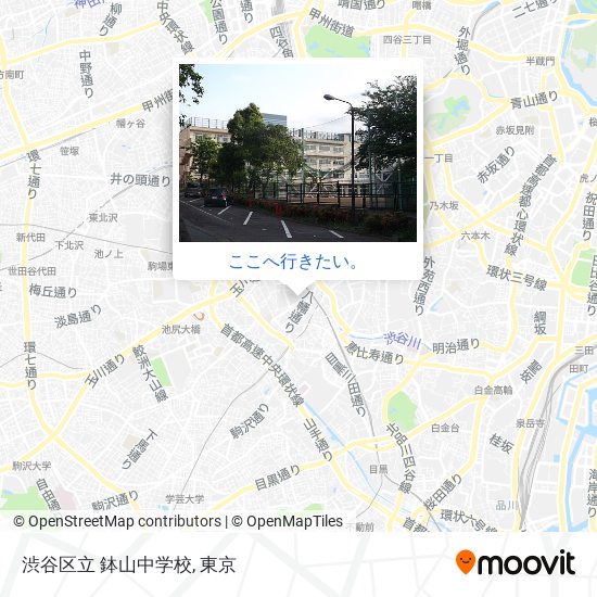 渋谷区立 鉢山中学校地図