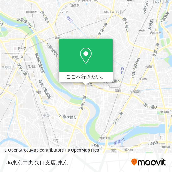 Ja東京中央 矢口支店地図