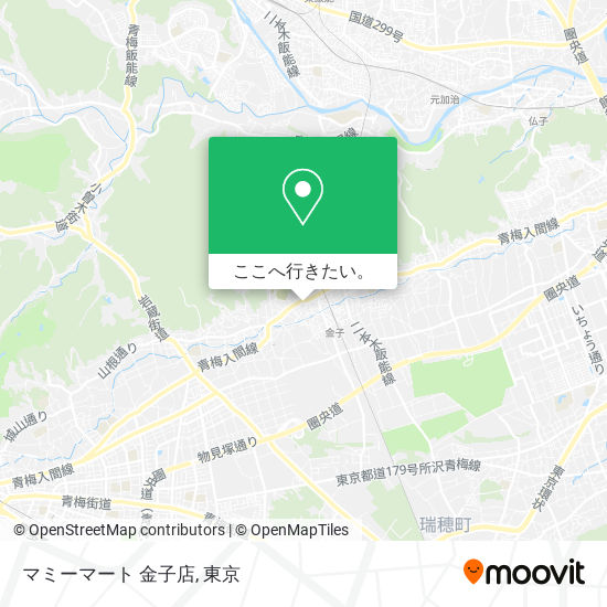 マミーマート 金子店地図