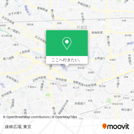 疎林広場地図