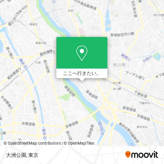 大洲公園地図