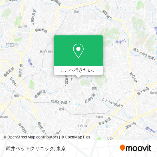 武井ペットクリニック地図