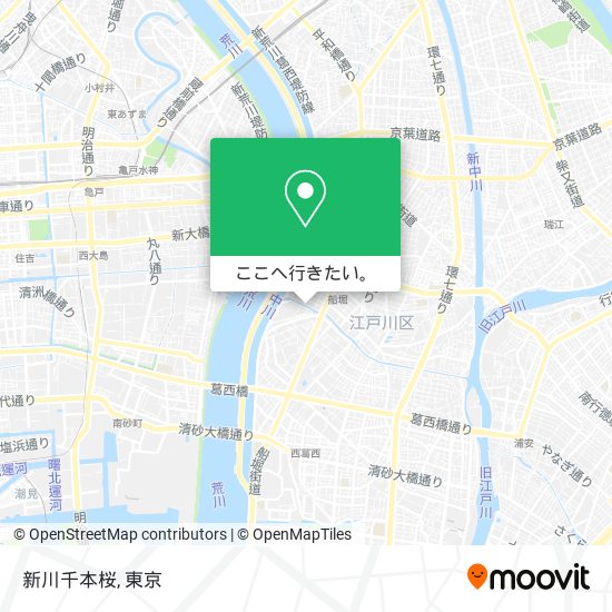 新川千本桜地図