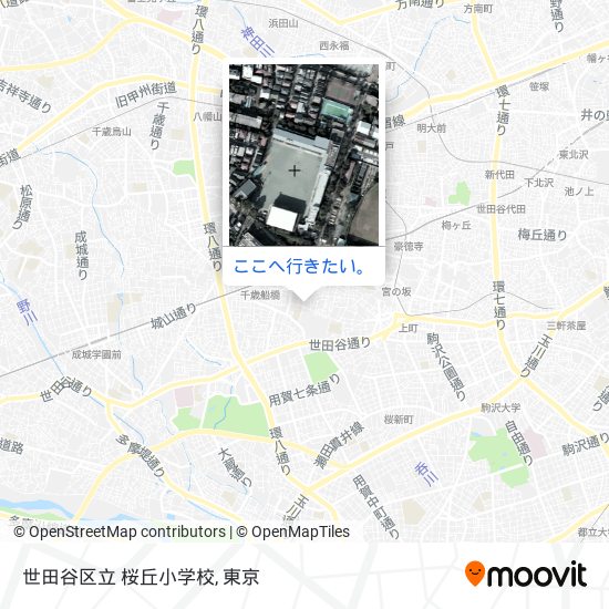 世田谷区立 桜丘小学校地図