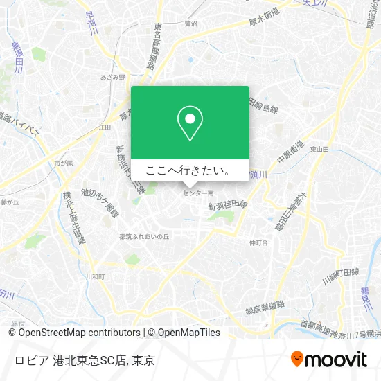 ロピア 港北東急SC店地図