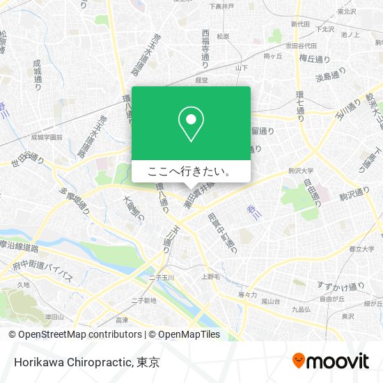Horikawa Chiropractic地図