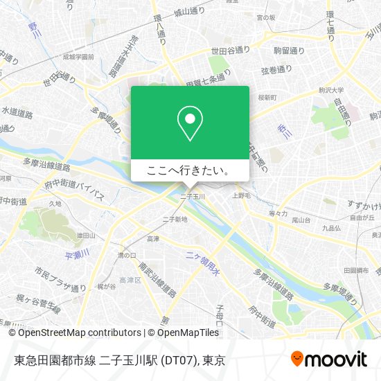 東急田園都市線 二子玉川駅 (DT07)地図