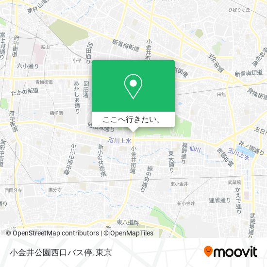 小金井公園西口バス停地図