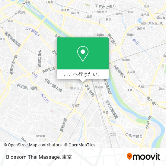 Blossom Thai Massage地図