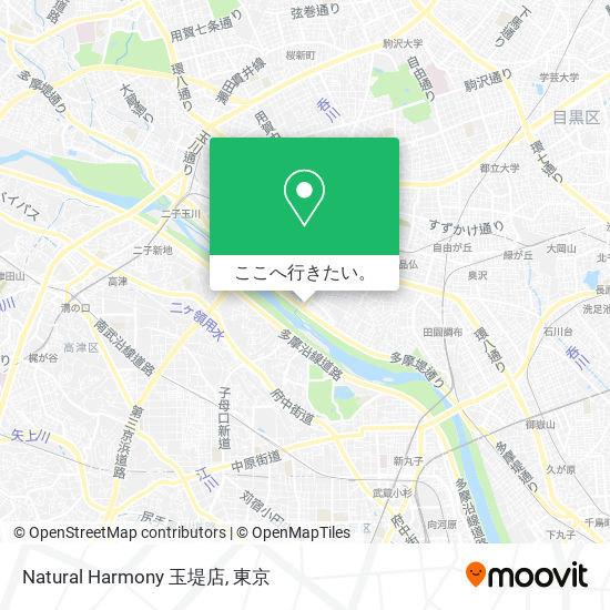 Natural Harmony 玉堤店地図