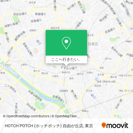 HOTCH POTCH (ホッチポッチ) 自由が丘店地図