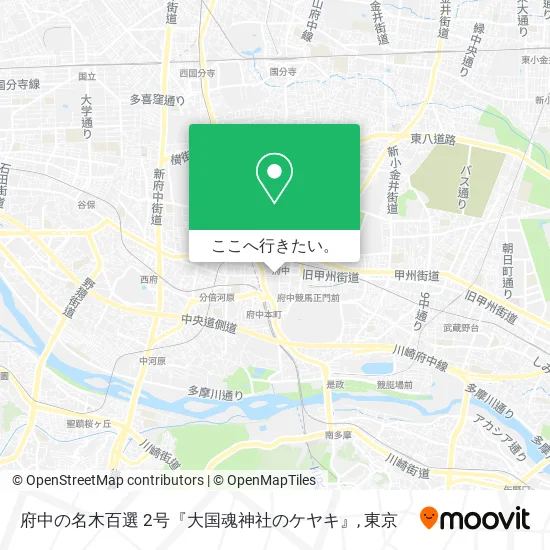 府中の名木百選 2号『大国魂神社のケヤキ』地図