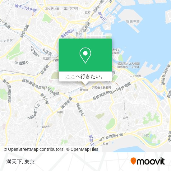 満天下地図