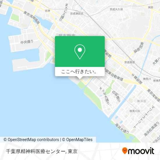 千葉県精神科医療センター地図