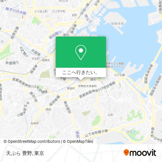 天ぷら 豊野地図