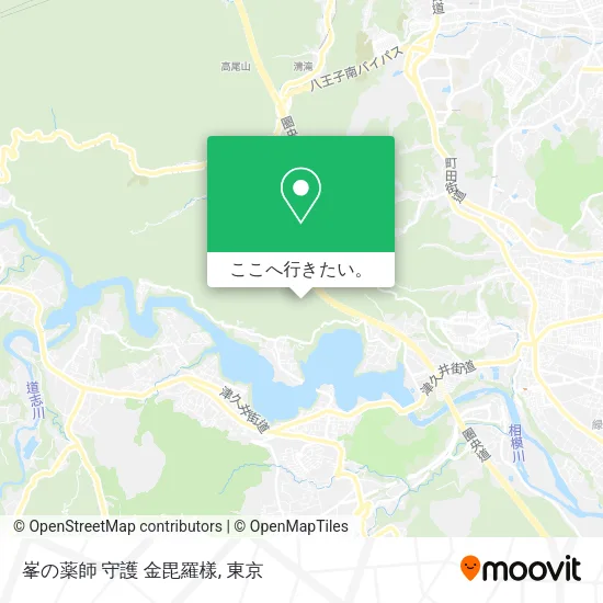 峯の薬師 守護 金毘羅樣地図