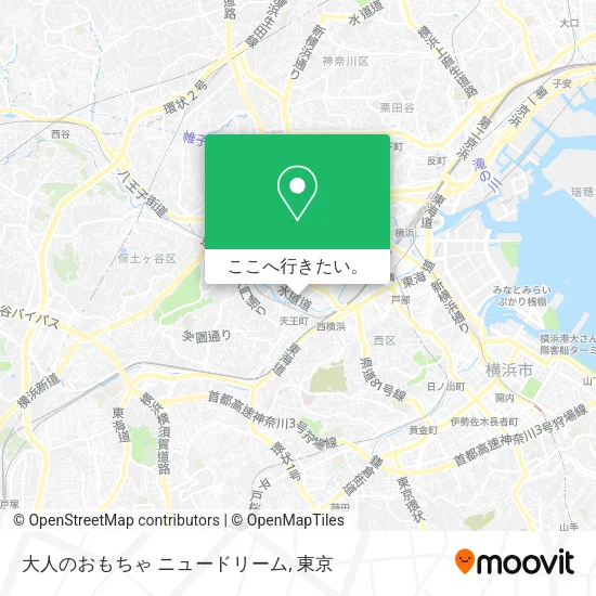 大人のおもちゃ ニュードリーム地図