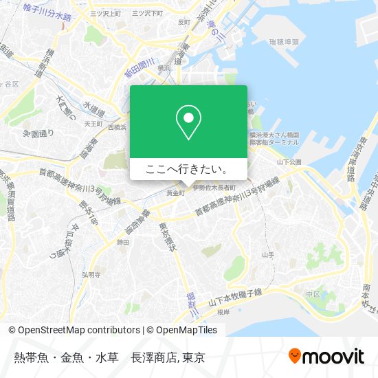 熱帯魚・金魚・水草　長澤商店地図