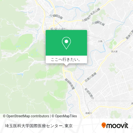 埼玉医科大学国際医療センター地図