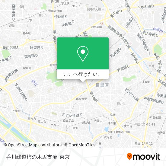 呑川緑道柿の木坂支流地図