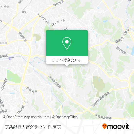 京葉銀行大宮グラウンド地図